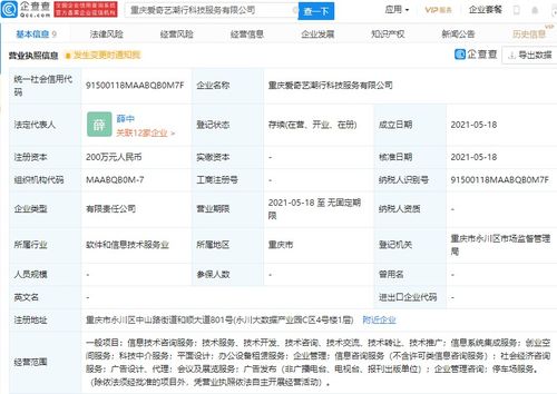 爱奇艺参股成立科技服务新公司，加速大数据与科技中介服务布局