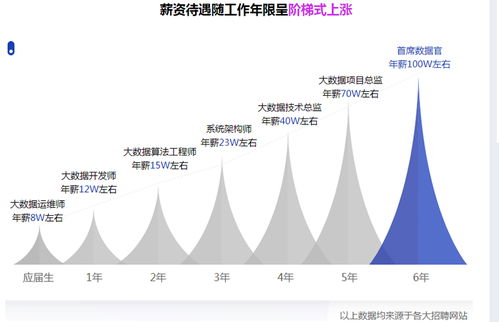 大数据 驱动未来的核心力量与昆山IT培训学院的专业赋能